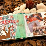 Álbum de fotos – Libro de firmas 4